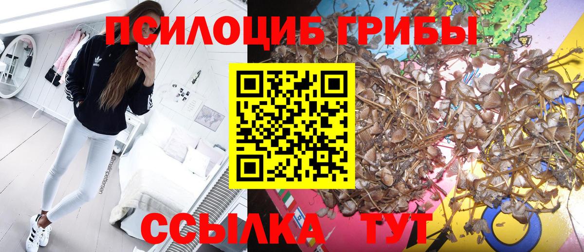 Галлюциногенные грибы ЛСД Холмск